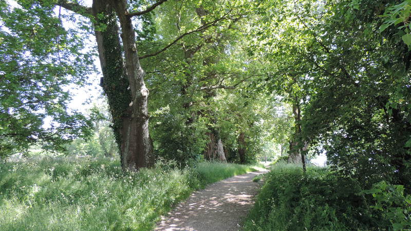 Fussweg am Bodensee